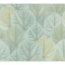 Load image into Gallery viewer, Leaf Concerto 27&#39; L x 27&quot; W Wallpaper Roll, (3 Rolls)
