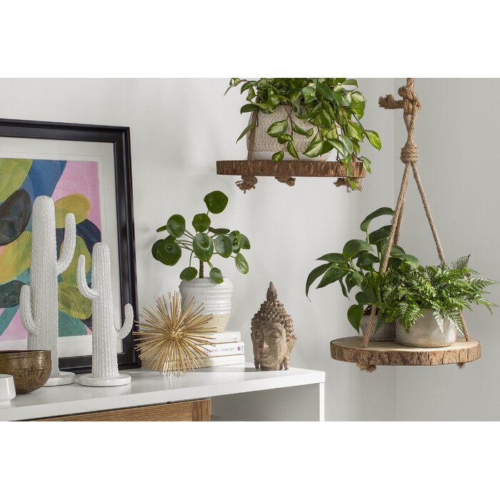 Louane Round Hanging Wood Slice Hanging Planter - Set of 2 - 346CE