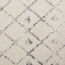 Load image into Gallery viewer, Lucienne Gray Area Rug 2806AH
