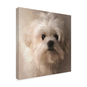 24" H x 24" W x 2" D Maltese Puppy Portrait by Lois Bryan - Print on Canvas
