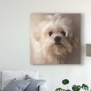 24" H x 24" W x 2" D Maltese Puppy Portrait by Lois Bryan - Print on Canvas