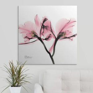 48" H x 48" W x 1.5" D Manigault Albert Koetsier - Photograph