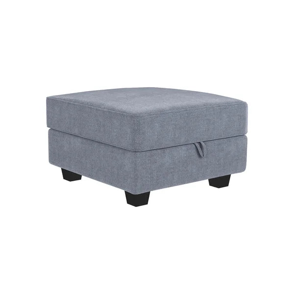 Manusite 25.6'' Wide Square Storage Ottoman with Storage