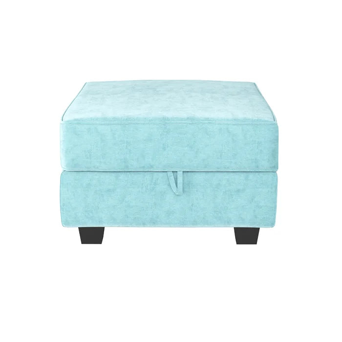 Manusite 25.6'' Wide Square Storage Ottoman with Storage