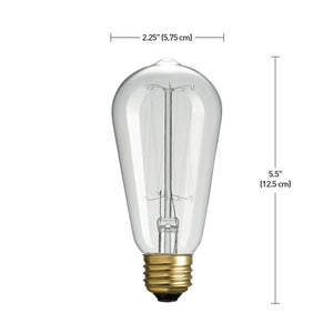 40 Watt, A19 Incandescent Dimmable Light Bulb, Warm White (2700K) E26/Medium (Standard) Base (Set of 12) #2391HW