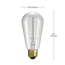 Load image into Gallery viewer, 01321 60 Watt (60 Watt Equivalent), ST19 Incandescent, Dimmable Light Bulb, Warm White (2200K) E26/Medium (Standard) Base GL789
