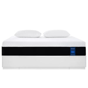 14'' Queen Plush Gel Memory Foam Sofa Bed Mattress
