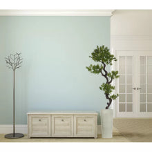 Load image into Gallery viewer, Noa 59&quot; Yucca Bonsai Tree in Pot
