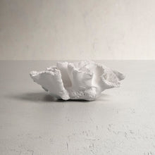 Load image into Gallery viewer, Noah Decorative Palancar Coral Table Sculpture
