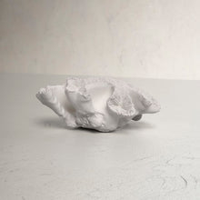 Load image into Gallery viewer, Noah Decorative Palancar Coral Table Sculpture
