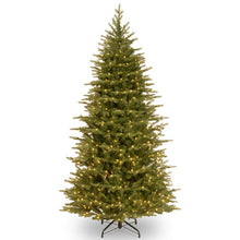 Load image into Gallery viewer, 78&quot; H Nordic Spruce Green Spruce Christmas Tree with Lights
