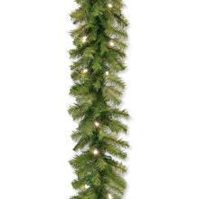 Load image into Gallery viewer, Norwood Fir Garland with 50 Lights, 10&#39;
