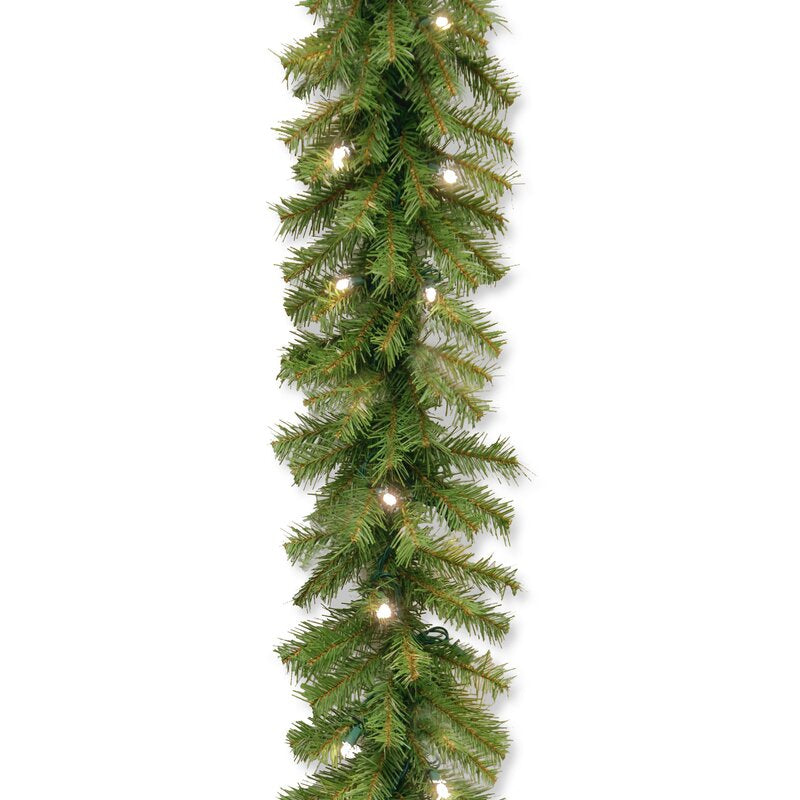 Norwood Fir Garland with 50 Lights, 10'