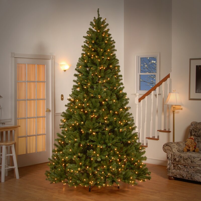 9' H Norwood Fir Green Spruce Artificial Christmas Tree with White Lights MRM1479