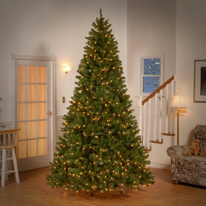 Norwood Fir Lighted Artificial Spruce Christmas Tree, 9' H