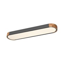 Load image into Gallery viewer, Nouria 1 - Light Simple Rectangle LED Flush Mount
