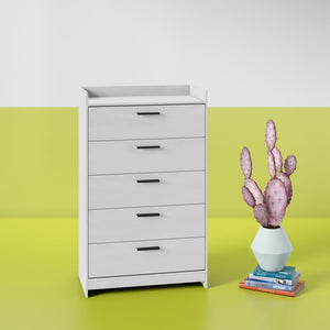 Nowell 5 Drawer Chest (AS IS) in Frost White MR43