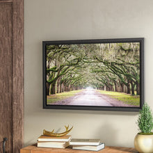 Load image into Gallery viewer, Oak Trees by Cody York - Print on Canvas

