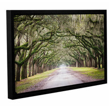 Load image into Gallery viewer, Oak Trees by Cody York - Print on Canvas
