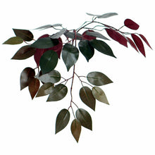 Load image into Gallery viewer, Oberham Capensia Tree in Basket 5491RR
