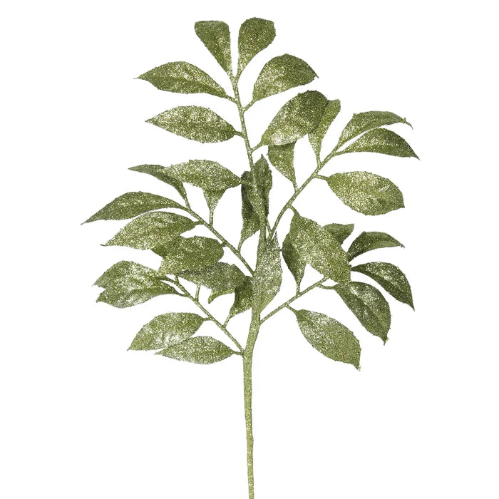 Olive Tree Branch (Set of 6)