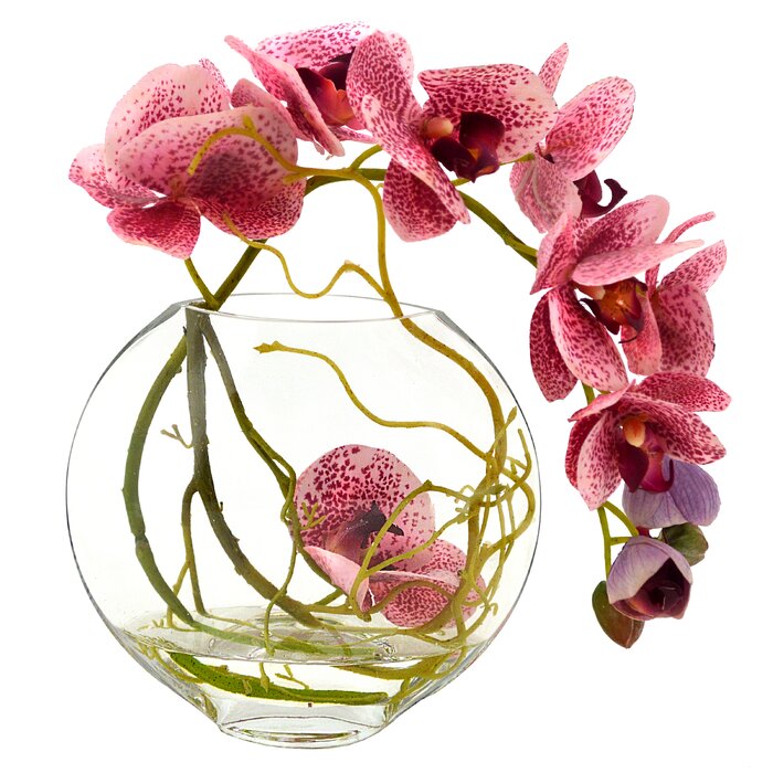 Orchid with Vine Centerpiece in Vase - 552CE