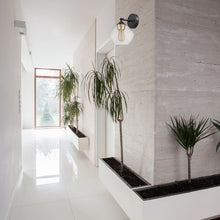 Load image into Gallery viewer, Orhan Glass Armed Sconce
