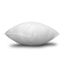 Load image into Gallery viewer, Orton Throw Pillow Insert 16 x 16, Set of 8

