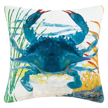 Load image into Gallery viewer, Winford Coastal Indoor / Outdoor Throw Pillow GL1033

