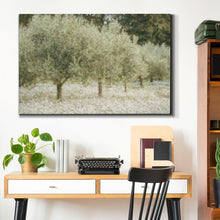 Load image into Gallery viewer, 36&quot; H x 24&quot; W x 1&quot; D Paintograph Olive Trees - Wrapped Canvas Print
