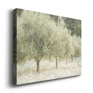 36" H x 24" W x 1" D Paintograph Olive Trees - Wrapped Canvas Print