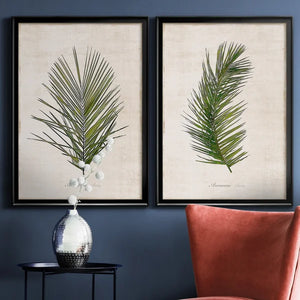 Palm Botanical I - 2 Piece Graphic Art 26.5 x 73 x 1.5