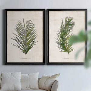 Palm Botanical I - 2 Piece Graphic Art 26.5 x 73 x 1.5