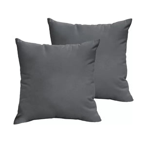 Parvati Outdoor Square Pillow Cover & Insert, 22 x 22 (Set of 2)