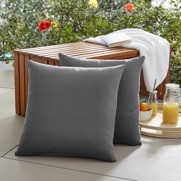 Parvati Outdoor Square Pillow Cover & Insert, 22 x 22 (Set of 2)