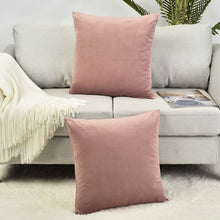 Load image into Gallery viewer, 20&quot; x 20&quot; Blush Pink Payson Pillow Cover (Set of 2) B51 120 ps
