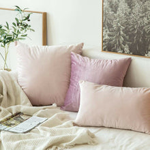 Load image into Gallery viewer, 20&quot; x 20&quot; Blush Pink Payson Pillow Cover (Set of 2) B51 120 ps
