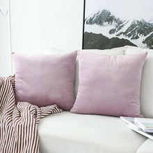 Load image into Gallery viewer, Payson Velvet Throw Pillow Cover GL1623
