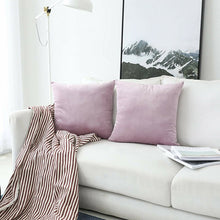 Load image into Gallery viewer, Payson Velvet Throw Pillow Cover GL1623
