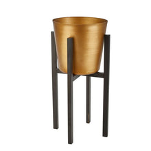 Load image into Gallery viewer, Pepinn Iron Pot Planter with Black Base and Gold Pot #9746
