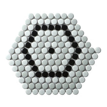 Load image into Gallery viewer, Perfection 1&quot; x 1&quot; Porcelain Penny Round Mosaic Wall &amp; Floor Tile, (Set of 33) - 3 Boxes
