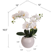 Load image into Gallery viewer, Phalaenopsis Orchid Floral Arrangement in Vase
