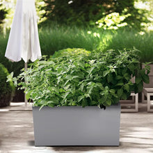 Load image into Gallery viewer, Phineus Galvanized Steel Planter Box
