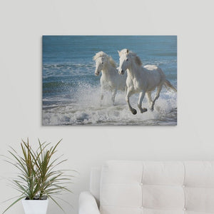 12" H x 18" W x 1.5" D Photograph 2861AH