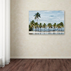 30" H x 47" W x 2" D Photograph on Canvas MRM2992