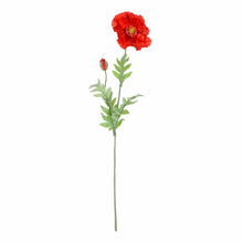 Load image into Gallery viewer, Poppy Stems (Set of 6)
