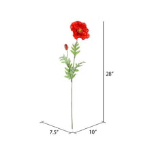 Load image into Gallery viewer, Poppy Stems (Set of 6)
