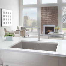 Load image into Gallery viewer, Truffle Precis Silgranit 32&quot; L x 19&quot; W Undermount Kitchen Sink (Part number: 441297) AP777
