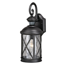 Load image into Gallery viewer, Provencher Textured Black 16.5&#39;&#39; H Seeded Glass Outdoor Wall Lantern with Dusk to Dawn
