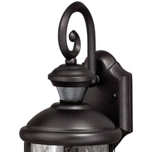 Load image into Gallery viewer, Provencher Textured Black 16.5&#39;&#39; H Seeded Glass Outdoor Wall Lantern with Dusk to Dawn
